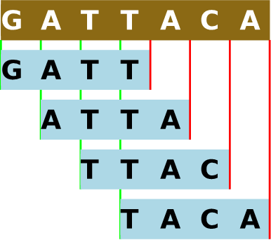 Разделение геномной последовательности на 4-меры. В khmer для прямой последовательности и обратного дополнения каждого k-мера используется одно и то же хэшированное значение из-за того, что ДНК состоит из двух цепочек. Подробнее об этом будет сказано в разделе 