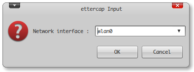 ettercap_interface