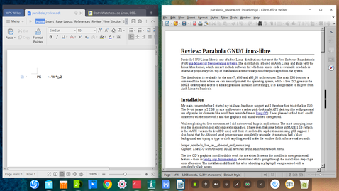 WPS Office и LibreOffice с одним и тем же открытым файлом  ODT
