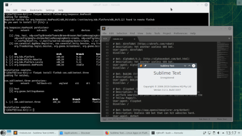 openSUSE 15.1 -- Sublime Text как Flatpak